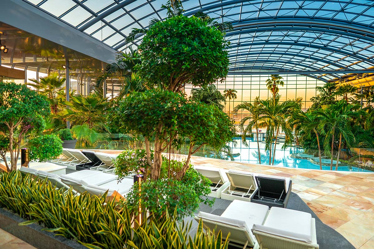bucharest-thermal-spa-therme-main-pool bucharest-thermal-spa-therme-main-pool